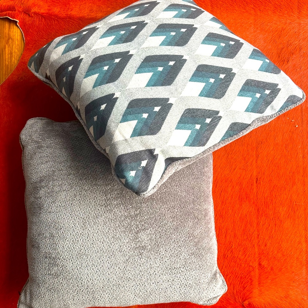 PAIR OF 18x18 inch PILLOWS (pillow & case included)